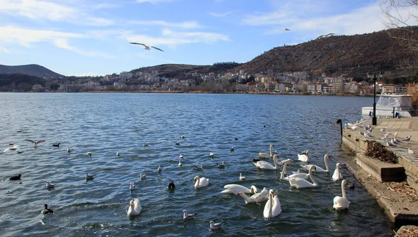 Vista panorámica de la ciudad de Kastoria y el famoso lago Orestiada en Grecia — Foto de Stock