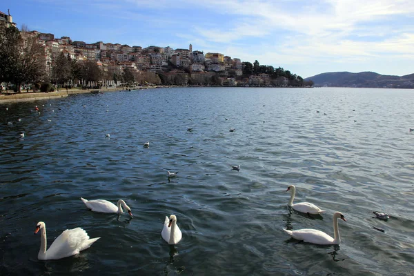 Vista panorámica de la ciudad de Kastoria y el famoso lago Orestiada en Grecia — Foto de Stock