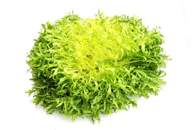 Hindiba hindiba frisee salata 