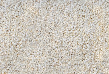 Beyaz susam tohumları 