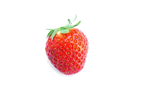 Red berry strawberry — Stock Photo, Image