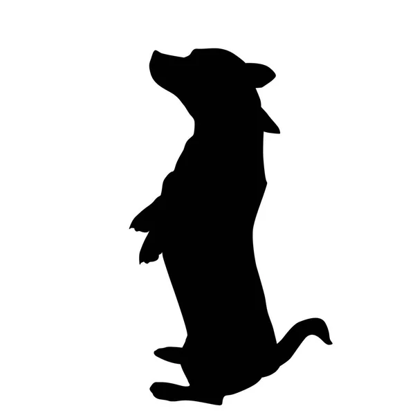 Silhouet van een hond — Stockvector