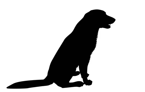 Silhouet van een hond op een wit — Stockvector