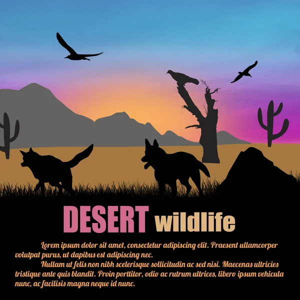 砂漠の野生動物のポスター テキスト ベクトル図のスペースと日没に狼のシルエット — ストックベクタ