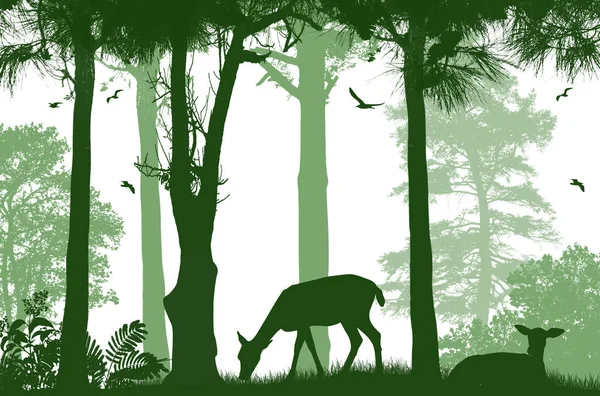 Cartel de vida silvestre forestal. Ciervos siluetas en blanco — Archivo Imágenes Vectoriales
