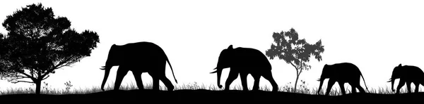 Silhouette d'éléphants et arbres dans la savane — Image vectorielle