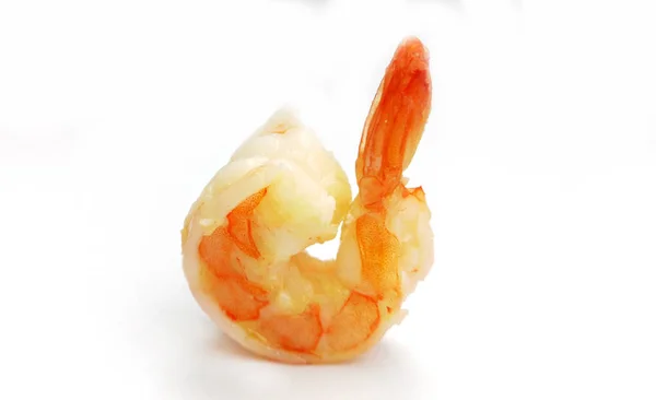 Single shrimp on white — Stock Photo, Image