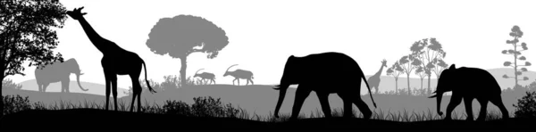 Africano Safari Animale Silhouette Paesaggio Scena — Vettoriale Stock