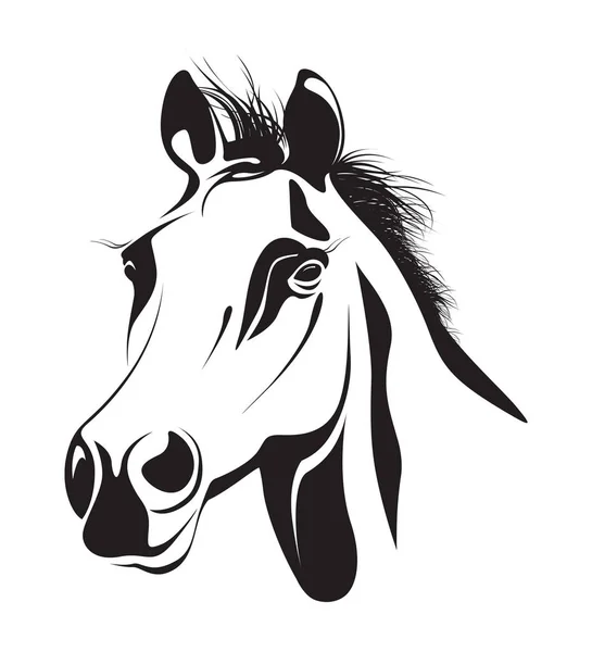 Abstract horses head — Stock Vector