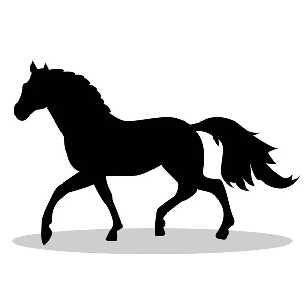 Silueta de caballo aislada . — Vector de stock