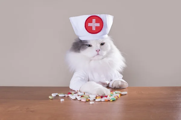 Кот в костюме врача дает лекарство — стоковое фото