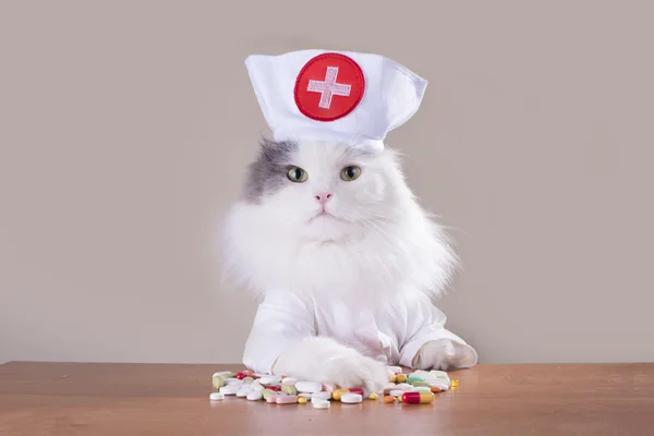 Кот в костюме врача дает лекарство — стоковое фото