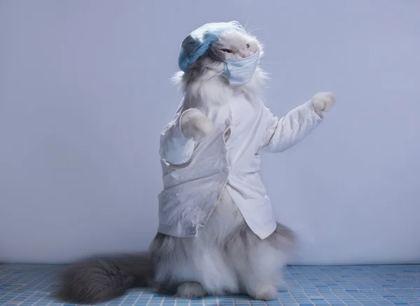 cat suit surgeon preparing for surgery