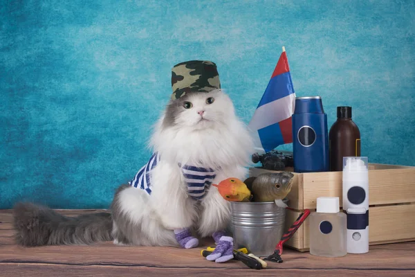 Katze im Militäranzug mit russischer Flagge — Stockfoto