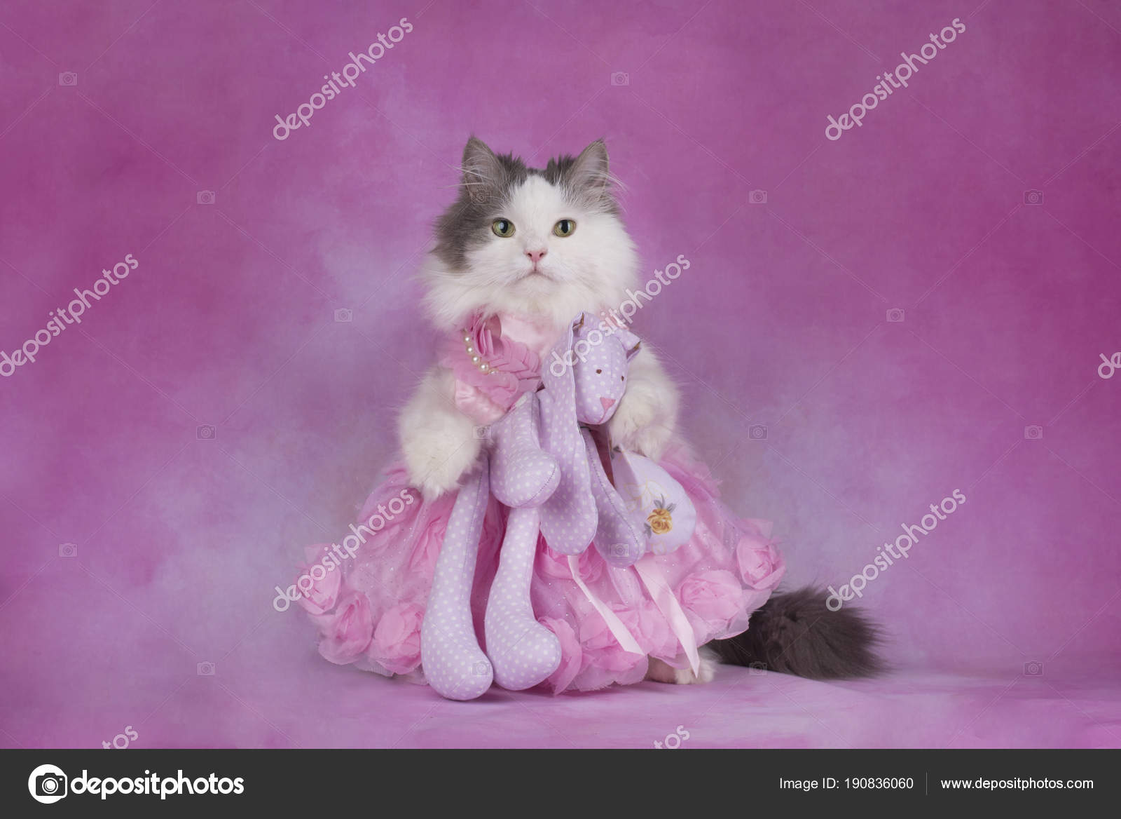 Chat Chocolat Paques Eclos Oeuf Sur Fond Jaune Isole Photographie Kuban Girl C