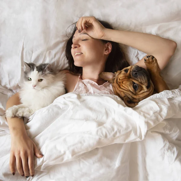 Девушка в постели с кошкой и собакой — стоковое фото