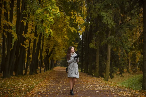 Mädchen im Herbstpark — Stockfoto