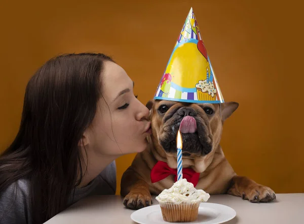 Menina beija um cão, menina com seu bulldog francês em um isol amarelo — Fotografia de Stock