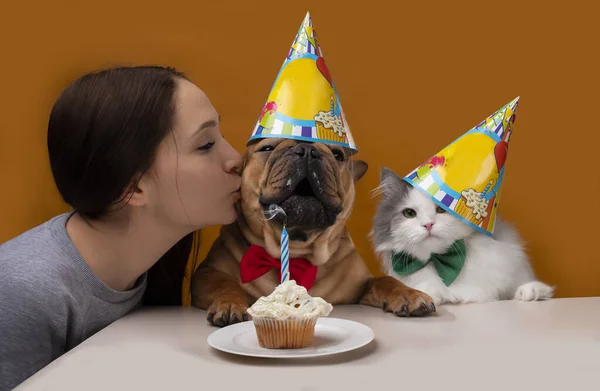 Menina Beija Cão Menina Com Seu Bulldog Francês Gato Fundo — Fotografia de Stock