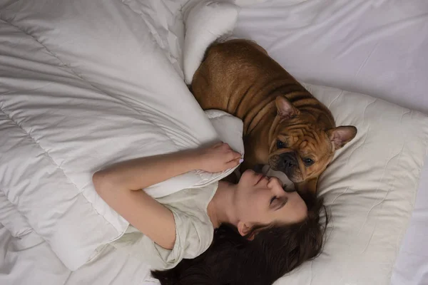 Lány Kutyája Francia Bulldog Aludni Ágyban — Stock Fotó