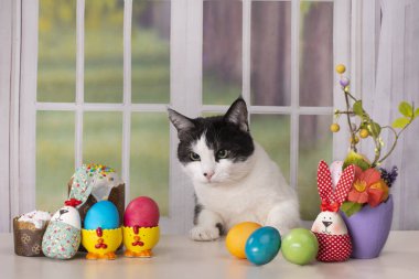 Kedi Paskalya sofrasında pencerenin arka planında oturuyor.