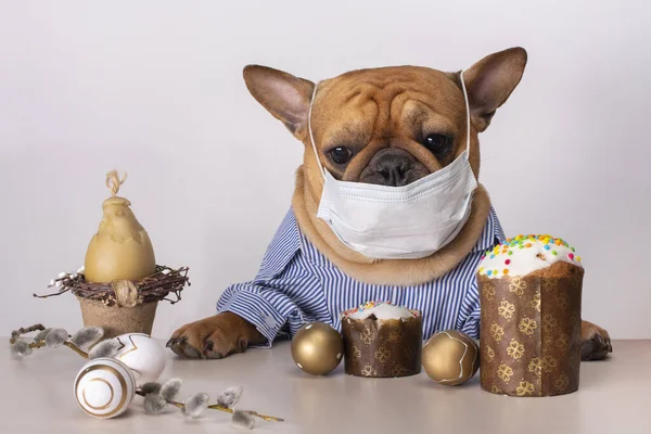 Hond Franse Bulldog Zitten Medische Maskers Aan Paastafel Tijdens Quarantaine — Stockfoto