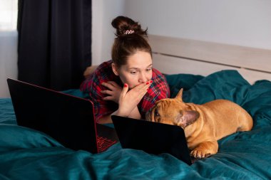 Genç kız ve köpeği Fransız bulldog karantina sırasında laptopun başında çalışıyorlar.