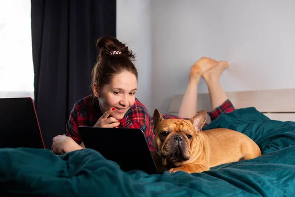 Młoda Dziewczyna Jej Pies Francuski Buldog Pracujący Łóżku Laptopie Podczas Zdjęcia Stockowe bez tantiem