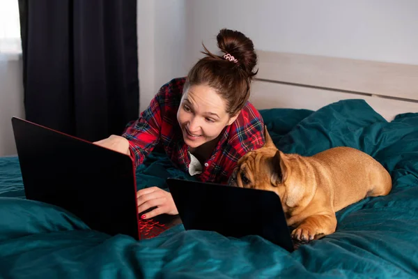 Jong Meisje Haar Hond Franse Bulldog Werken Bed Een Laptop Stockafbeelding