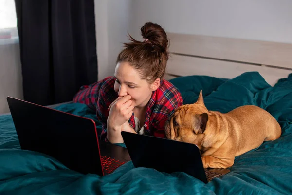 Młoda Dziewczyna Jej Pies Francuski Buldog Pracujący Łóżku Laptopie Podczas Obrazek Stockowy