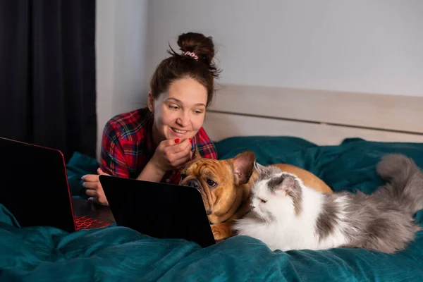 Jong Meisje Haar Hond Frans Bulldog Pluizig Kat Werk Thuis Rechtenvrije Stockafbeeldingen