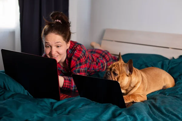 Jong Meisje Haar Hond Franse Bulldog Werken Bed Een Laptop Stockafbeelding