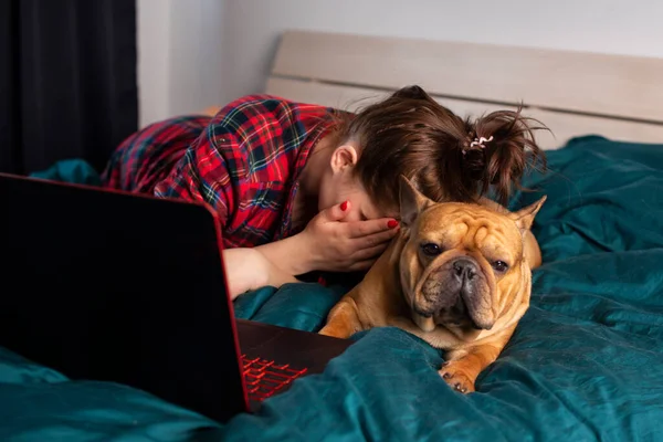 Jong Meisje Haar Hond Franse Bulldog Werken Bed Een Laptop Stockafbeelding