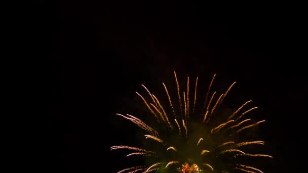 Fuegos artificiales se encienden en el cielo con una pantalla deslumbrante — Vídeo de stock