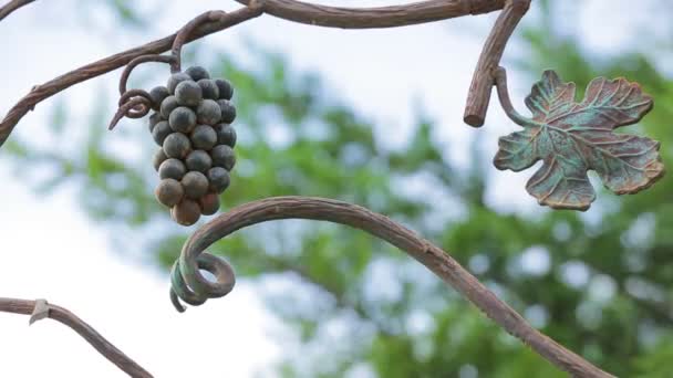 Bouquet de raisins sur une branche forgée en métal — Video