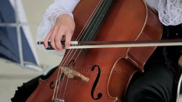 Mulher a tocar violoncelo. Close-up . — Vídeo de Stock