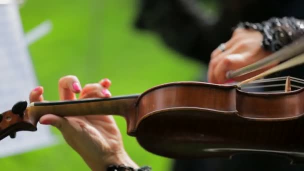 Mulher está tocando violino — Vídeo de Stock