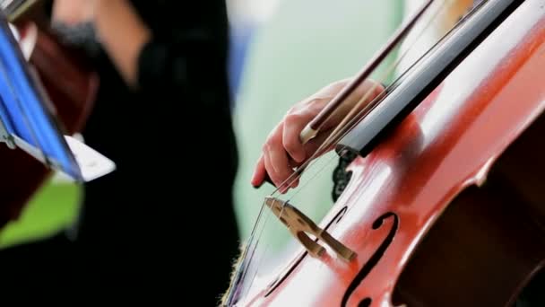 Παίζοντας το βιολοντσέλο βιολοντσελίστας — Αρχείο Βίντεο