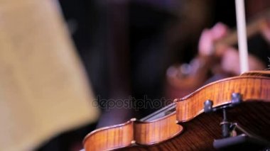 Kadın oynarken Violon grubu