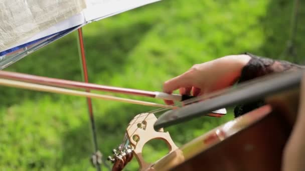 Músico tocando el violonchelo — Vídeo de stock