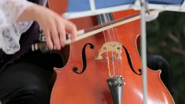 Mujer tocando el violonchelo — Vídeo de stock