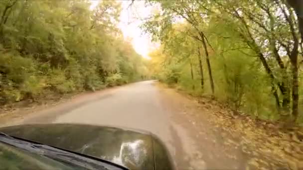 Auto jezdí po podzimní les — Stock video