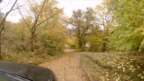 se déplacer sur la route d'automne 