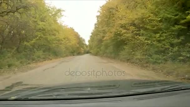 Höstens regn på vindrutan på bilen — Stockvideo
