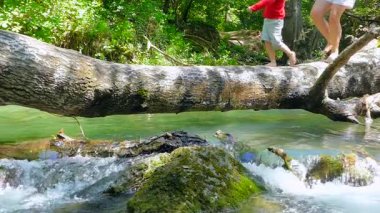 Köprüden nehre düşmüş günlükleri