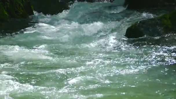 Вода в быстром горном ручье — стоковое видео