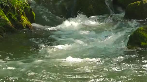 L'eau dans un ruisseau de montagne rapide — Video