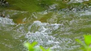 Dalgalar nehir yukarı dağ nehir