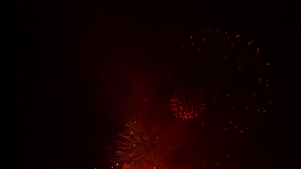 Explosioner av fyrverkerier bollar på den svarta himlen — Stockvideo
