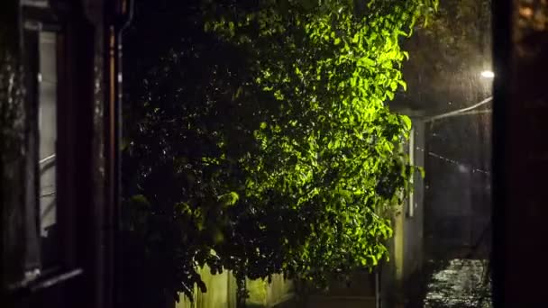 Sterke stortbui in de straat in de nacht — Stockvideo